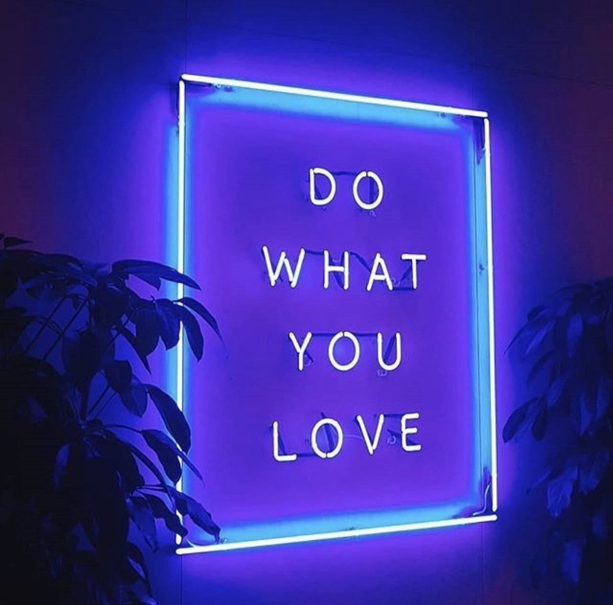 Do what you love, is no longer just advice