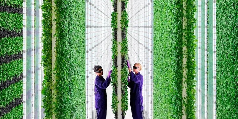 Vertical Farming and Urban Sustainability