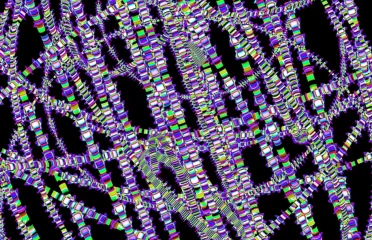 blog-grid-1-410x308