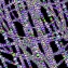The Convergence of Biotechnology and Nanotechnology: Breaking Down Barriers in Medical Technology and Healthcare Innovation