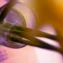 The Future of Healthcare: Emerging Trends in Biotechnology, Genomics, and Medical Technology
