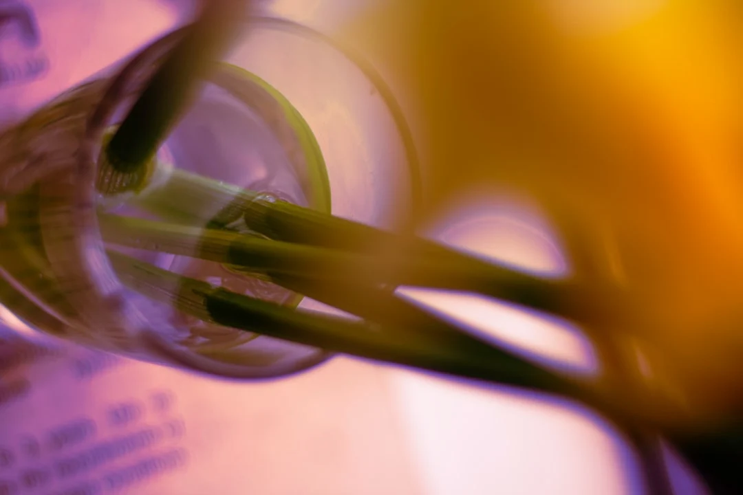 The Future of Healthcare: Emerging Trends in Biotechnology, Genomics, and Medical Technology