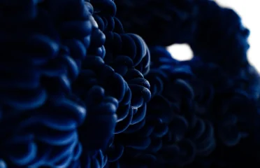 blog-grid-1-410x308