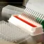 AI barcodes uncover senescent cells in aging tissue