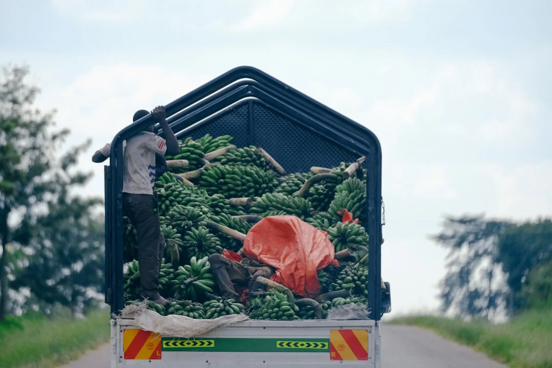 AI-driven methods reshaping sustainable crop protection
