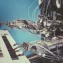 Can humanoid robots master complex physical tasks?