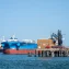 Can marine microbes replace petrochemical recycling?