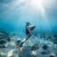 Can underwater solar cells power offshore grids?