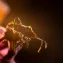 Ethical limits of bio‑hybrid robotic insects
