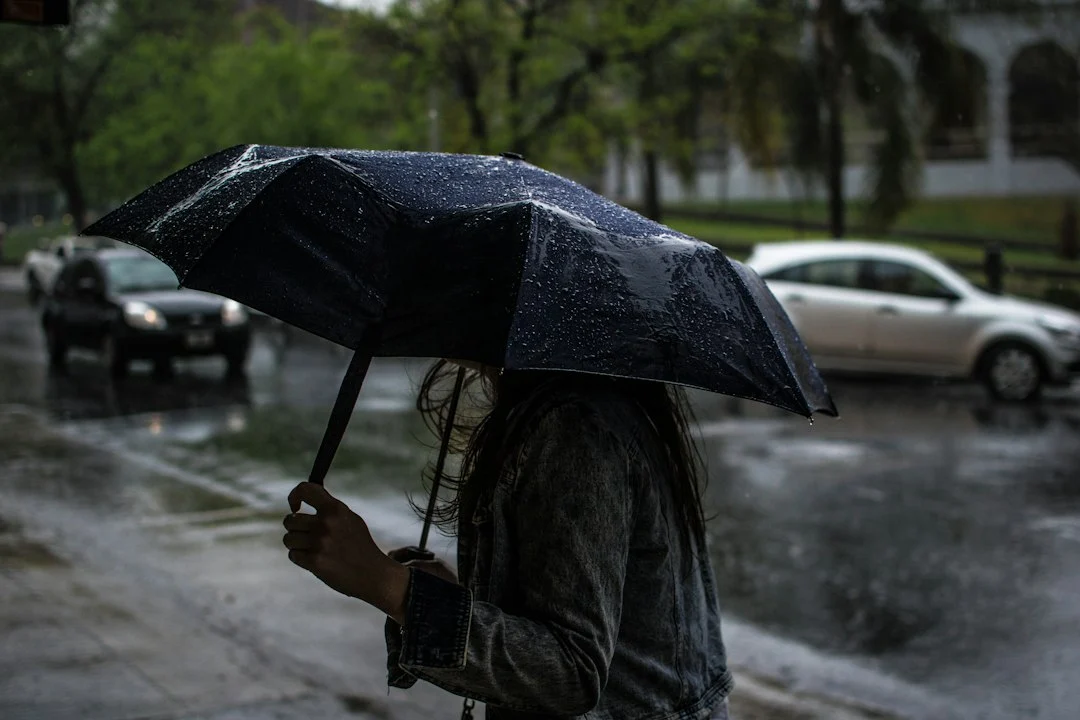 How AI maps extreme weather risk for resilient cities
