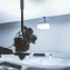 How on-demand robotic optics labs accelerate AI research