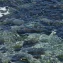How underwater solar cells could power offshore IoT networks