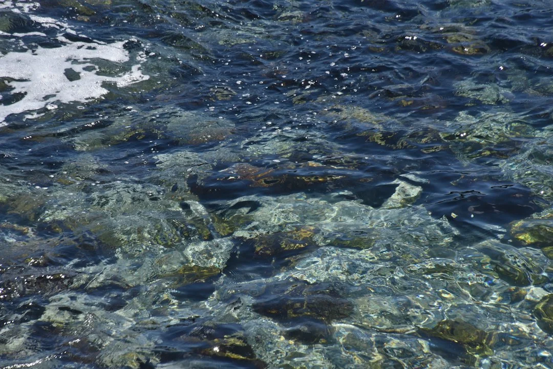 How underwater solar cells could power offshore IoT networks