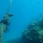 Predicting undersea cable failure via glass fiber defects