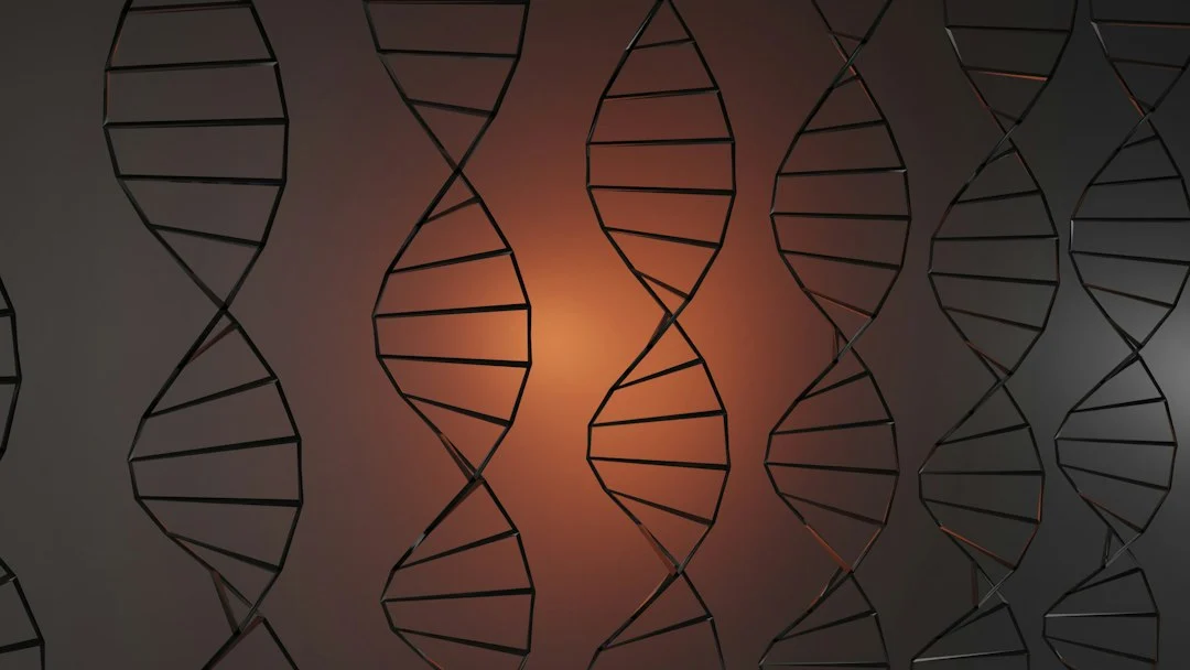 DNA combined with a perovskite semiconductor (a bio-hybrid memristor) offers a direct