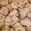 How garlic‑peel sensors could cut home security costs
