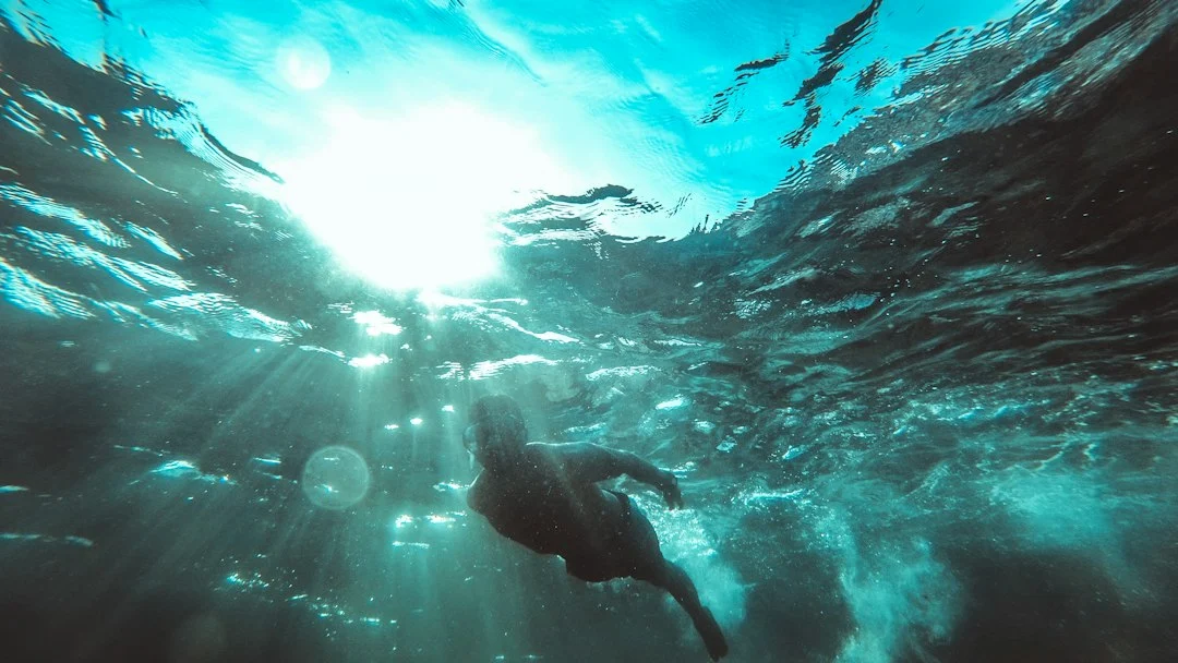 How muscle‑cell‑powered robots could replace underwater drones