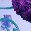 In-Body NK Cell Reprogramming Targets Cancer Autoimmunity