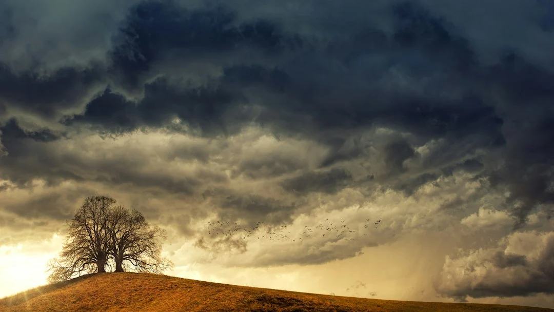 ML breakthrough pushes accurate weather forecasts to six weeks