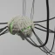 Phantom Neuro implant gives direct prosthetic arm control